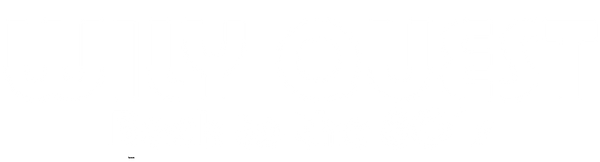 Wily Quest